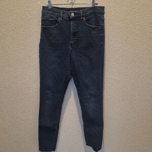 Express Indigo Denim Pants
